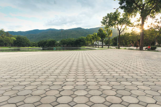 Best Permeable Paver Driveway  in Durand, MI